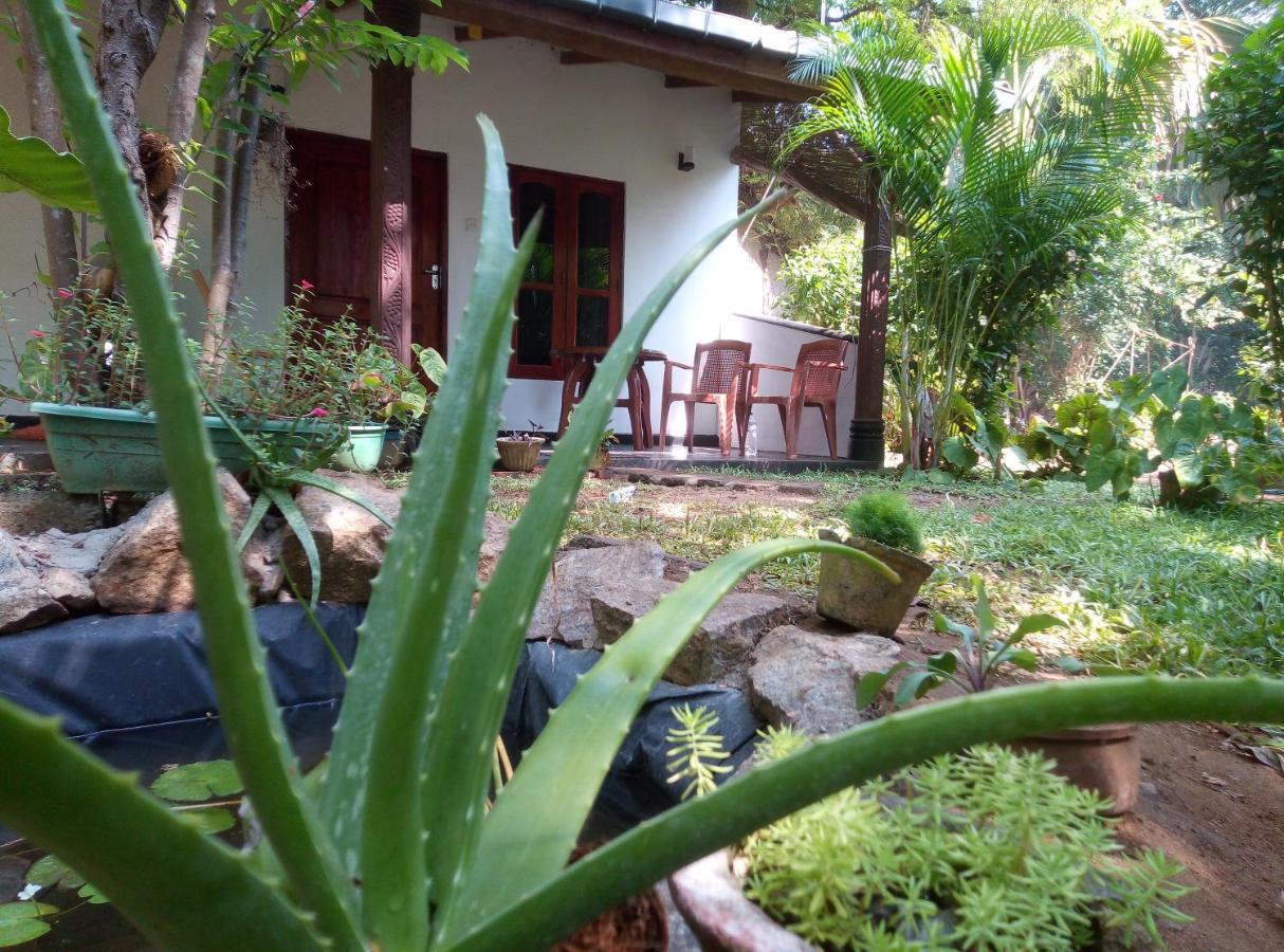 Charly'S Lodge Sigirîya Extérieur photo